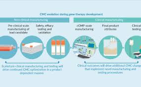The Chemistry Manufacturing and Controls (CMC) section of gene  therapy-based INDs: overview in a changing landscape