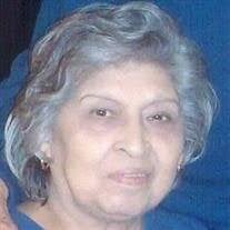 Guadalupe G. Delgado Obituary