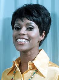 Cocoa Brown is an American actress and comedian, known for her energetic,  humorous style