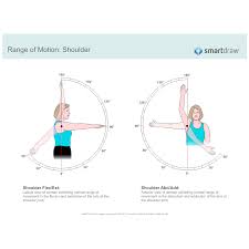 range of motion shoulder