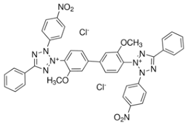 The nbt tag is always surrounded in {} such as {noai:1}. Nbt 2 2 Bis 4 Nitrophenyl 5