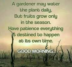 Pin By Deirdre Burness On Good Morning Morning Inspirational Quotes Good Morning Friends Quotes Happy Morning Quotes