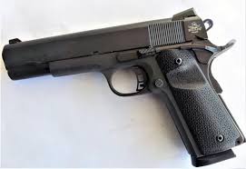 The language of the garden. Review Rock Island Armory Tactical 1911 9mm The Shooter S Log