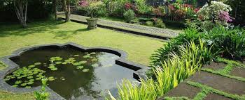 Entretenir Son Bassin En Ete Tout Savoir Sur L Entretien De Son Bassin En Ete Bassin De Jardin Bassin Et Jardins