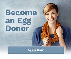 Maybe you would like to learn more about one of these? Egg Donor Faqs Become An Egg Donor Indiana Egg Donation
