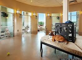 Heritage village resort & spa manesar: Pet Hotel Dog Rooms Luxury Dog Kennels Pet Resort Luxury Dog
