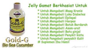 obat herbal alami Gold G