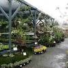 Civano nursery has been open since 1999 and we have gone through a lot of changes over the years. 1