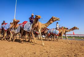 Dubai desert safari with 4x4 dune drive, camel ride, quad bike, live bbq dinner & more. Go All Out In The Uae The 7 Most Fun Things To Do In Dubai Edreams Travel Blog