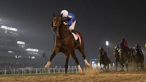 2019 dubai world cup by the numbers americas best racing