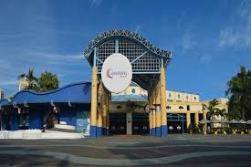 Promo Lebaran Tiket Masuk Sea World Ocean Dream Ancol Hanya Rp185 000 Traveling Bisnis Com Sea world ancol yang merupakan wisata populer di kawasan ancol jakarta baycity juga memberikan edukasi tentang biota laut. promo lebaran tiket masuk sea world