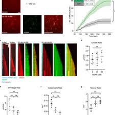 Image result for tbn:oICZ-UHpUGgp-M::files.nireblog.com/blogs/familiaschwingel/files/familias2.bmp