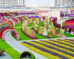 Image of حديقة صديقة للبيئة