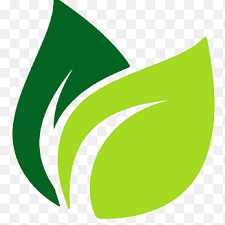 Leaf Logo Green Leaves Green And Teal Leaf Logo Text Maple Leaf Png Pngegg Large collections of hd transparent leaf png images for free download. green leaves green and teal leaf logo