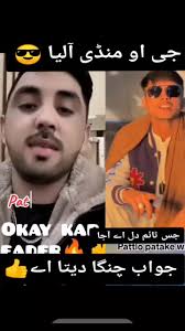 Sajid Tarar Usa Mandi Bahauddin