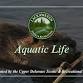Parks & Recreation "Aquatic Life" Program