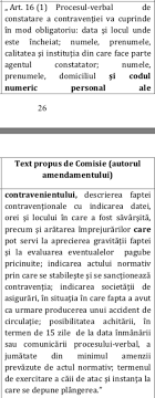 13 iunie au fost rusaliile, zi libera. Proiectul Care Extinde Perioada In Care Amenzile De CirculaÈ›ie Profit Ro