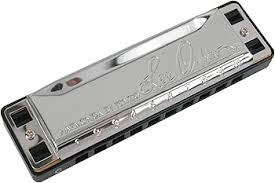 Lee Oskar Harmonica, Major Key of D : Amazon.ca: Musical Instruments, Stage  & Studio