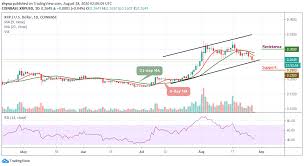 However, this seems to have changed with usually conservative experts now suggesting xrp could reach up to $1000 a coin in a few years time. Ripple Price Prediction Xrp Usd Massive Dumps To 0 260 Low Coingenius Hosts Virtual Crypto Event