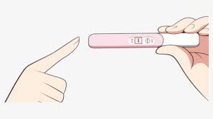 Anime Pregnancy Test Meme - Pregnancy Test Anime Hd Png Download - Kindpng