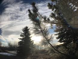 Maybe you would like to learn more about one of these? Winter S Medicine Mandy Bishop