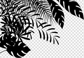 Cartoon Palm Tree Palm Trees Breathe In Breathe Out Black White M Charles Wallace Murry London Rag Leaf Plant Transparent Background Png Clipart Hiclipart The set of high quality hand painted watercolor tropical leaves and elements images in bright and fresh color palette. cartoon palm tree palm trees breathe