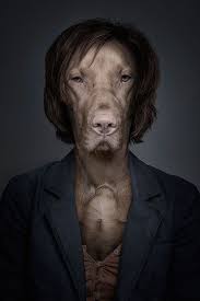 Funny Portraits Of Dogs Dressed Like Humans Dog Portraits Photo Manipulation Dog Art