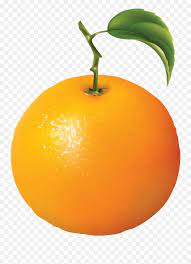 We did not find results for: Fruits Clipart Png Diagram Of An Orange Fruit Clipart Png Free Transparent Png Images Pngaaa Com