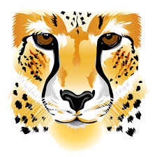 Draw this cute cheetah by following this drawing lesson.subscribe: 5 100 Cheetah Face Vector Images Free Royalty Free Cheetah Face Vectors Depositphotos