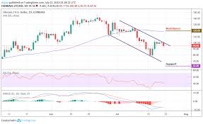 Litecoin Ltc Usd Litecoin Price Crash Near Halving