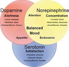 12 Natural Serotonin Boosters You Can Try Today