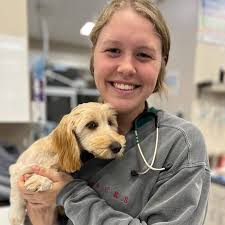 Animal Emergency & Specialty Center of Knoxville