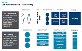 Job Architecture Vs Job Leveling Radford Digital Jobs Job Roles Job
