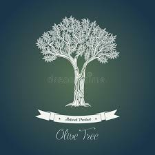 Arbre D Huile D Olive Du Grec Ancien Dans Le Verger Illustration De Vecteur Illustration Du Dans Olive 80285400