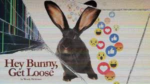 Hey Bunny Get Loose tickets and tour dates - CompareTheTicketPrice.com