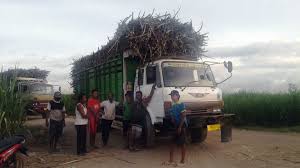 Check spelling or type a new query. Ongkos Angkut Tidak Dibayar Oleh Pt Igg Puluhan Sopir Truk Mogok Kerja Ongkos Angkut Tidak Dibayar Oleh Pt Igg Puluhan Sopir Truk Mogok Kerja Seru Co Id