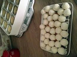 Raffaelo Maison Recette Recette Recette Raffaelo Recette Mignardise