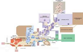 Las Vegas Plexus Products Mgm Grand Las Vegas