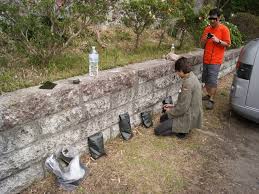 Image result for 自衛隊の戦闘糧食