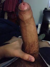 Image result for brown dick