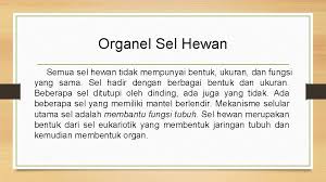Sehingga terdapat binatang yang beraneka ragam baik dalam ukuran, struktur bagian dalam dan bagian luar, serta tingkah lakunya. Organel Sel Hewan Dan Fungsinya Nama Kelompok Jeffry