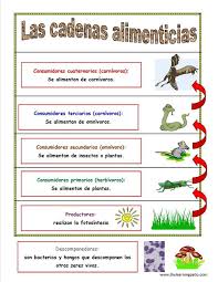 Science English Spanish Suscribete Y Recibe Un Sinnumero De Paginas Para Descargar M Ciencia Natural Ciencias De La Naturaleza Prueba De Ciencias Naturales