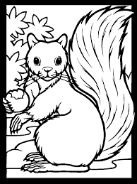 Squirrels Coloring Pages Squirrel Coloring Page Fall Coloring Pages Thanksgiving Coloring Pages
