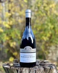 Le Boeuf Bourguignon Quels Vins Pour Le Cuisiner Et Pour Le Deguster Le Vin A L Etrier