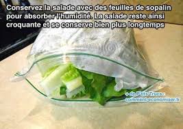L Astuce Geniale Pour Conserver De La Salade Au Frigo Plus Longtemps Conserver Salade Trucs Et Astuces Cuisine Conseils Alimentaires