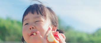 Jefferson Elementary Nc Pre-K Program