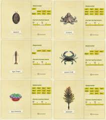 The acnh nintendo switch is an animal crossing themed system of the nintendo switch. Animal Crossing Is My Passion Lol All New Sea Creatures You Can Catch In July