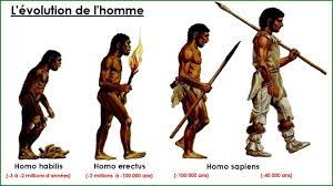 L'ancêtre potentiel de l'homme, vieux de six millions d'années, mis au jour récemment au kenya et devenu aussitôt vedette médiatique sous le surnom d'«ancêtre du millénaire», décline enfin son identité scientifique dans les «comptes rendus de l'académie des sciences publiés le 15 février: Du Savant Dans Les Oreilles Le Singe Est Il L Ancetre De L Homme