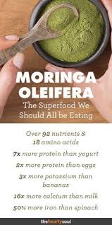 What Is Moringa Olif Protein Yogurt What Is Moringa Detox Smoothie
