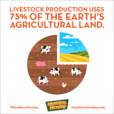 Livestock Production Uses 75 Of The Earth S Agricultural Land Meatless Meatless Monday Environmental Research